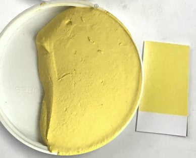 XT Custom Inca Yellow Unsanded Grout