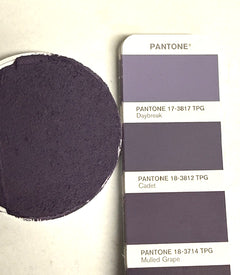 XT Custom matched to Pantone 18-3812 in Sanded Tile Grout – Grout360