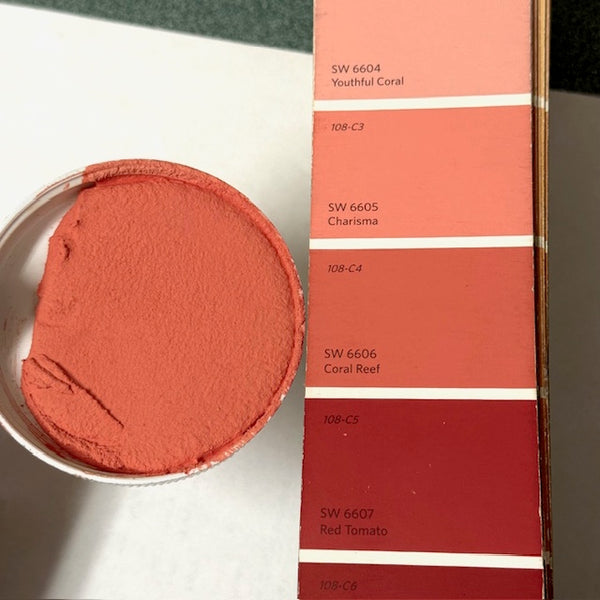 XT matched to SW 6606 Coral Reef in Sanded Tile Grout