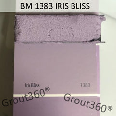 1383 Iris Bliss