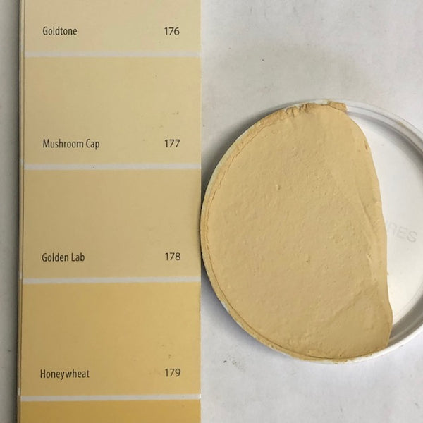 XT Custom matches BM 178 Golden Lab Unsanded Grout